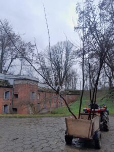 projekt nasadzeń drzew miododajnych oraz warsztatów edukacyjnych „Małopolska Pszczoła”.